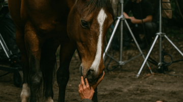 When She Saw Him Again: The Homecoming That Melted Every Heart