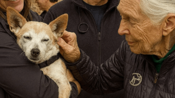When She Saw Him Again: The Homecoming That Melted Every Heart