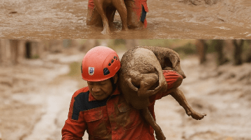 When She Saw Him Again: The Homecoming That Melted Every Heart